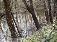 Федорівка з panoramio.com