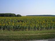 Новеньке з panoramio.com