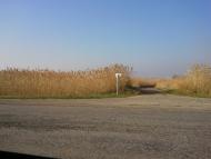 Ізумрудне з panoramio.com