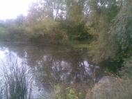 Веселий Кут з panoramio.com