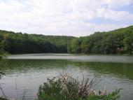 Червона Поляна з panoramio.com