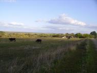 Федорівка з panoramio.com