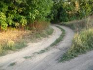 Новожеланне з panoramio.com