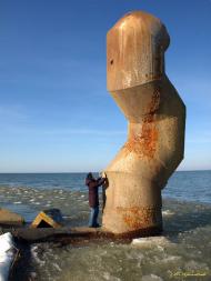 Сухолужжя з panoramio.com