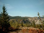 Пасічна з panoramio.com