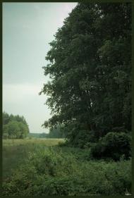 Деменці з panoramio.com