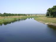 Комар з panoramio.com