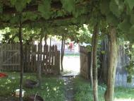 Мої спогади