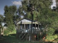 Соколівка з panoramio.com