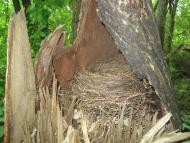 Лікарівщина з panoramio.com