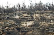 Олексіївка з panoramio.com - Алексеевка