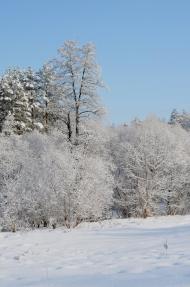 Дерно з panoramio.com