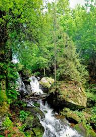 Полянська Гута з panoramio.com