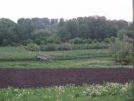 Тимченки з panoramio.com