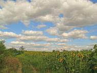 Зброшкове з panoramio.com