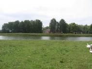 Товстоліс з panoramio.com