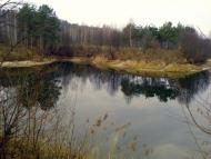 Буки з panoramio.com - Буки