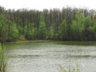 Коритище - Останні фото