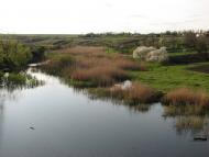 Березівка з panoramio.com