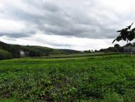 Подусільна з panoramio.com