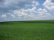 Пожежа - Останні фото