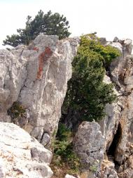 Громівка з panoramio.com