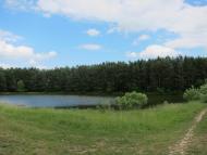 Селевинці з panoramio.com - Селевинці