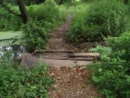 Клишки з panoramio.com