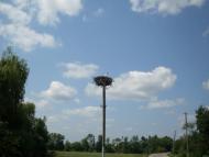 Meleshkiv - Latest photos