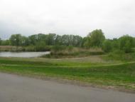 Соснівка з panoramio.com