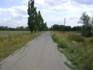 Комар з panoramio.com