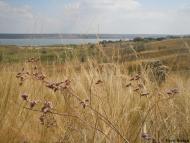Богнатове з panoramio.com
