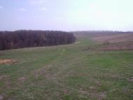 Шаліївка з panoramio.com