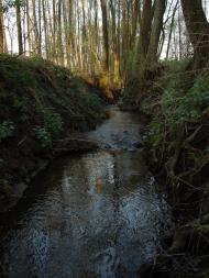 Рудка з panoramio.com