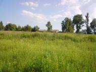 Деревини з panoramio.com