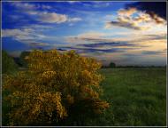 П'ятидні з panoramio.com