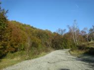 Турички - Останні фото