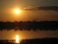 Медведеве з panoramio.com