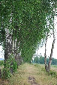 Дитиничі з panoramio.com