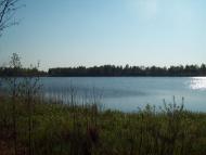 Пугач з panoramio.com