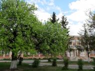 Понінка з panoramio.com