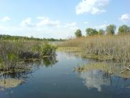 Рубанка з panoramio.com