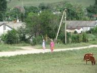 Новокленове з panoramio.com