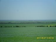 Новокрасне з panoramio.com
