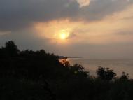 Боровиця з panoramio.com