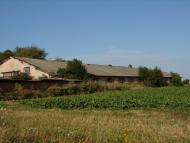 Максимівка з panoramio.com