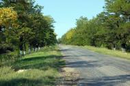 Дмитрівка з panoramio.com