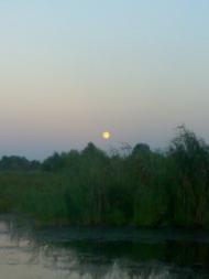 Косяківка з panoramio.com