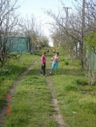 Червонодніпровка з panoramio.com