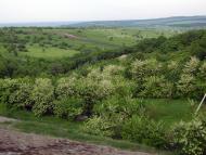 Мирна Долина з panoramio.com